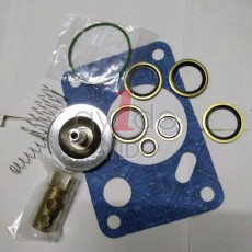 AYIDO CHECK VALVE KIT 2901108401